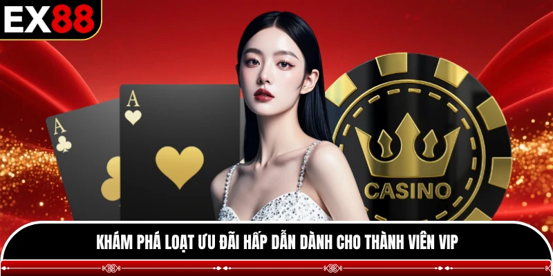 Khám phá loạt ưu đãi hấp dẫn dành cho thành viên VIP